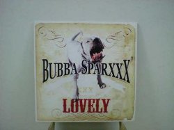 画像1: HipHop Bubba Sparxxx / Lovely 12インチです。