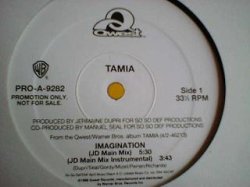 画像1: R&B Tamia / Imagination 12インチ新品です。