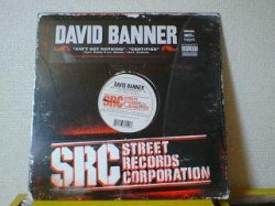 画像1: HipHop David Banner / Ain't Got Nothing 12インチ新品です