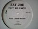 HipHop Fat Joe / The Crack House 12インチ新品です。