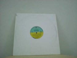 画像1: R&B Terry Dexter / You'll Never Miss Me 'Til I'm Gone 12インチです。