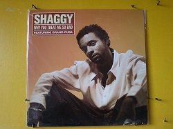 画像1: レゲエ Shaggy / Why You Treat Me So Bad 12インチです。