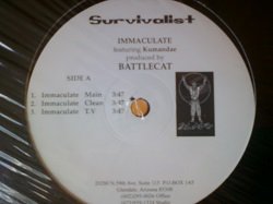 画像1: HipHop Survivalist / Immaculate 12インチです。