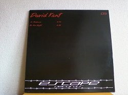 画像1: ハウス David Kent / Madness 12インチです。