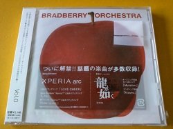 画像1: 邦 CD Bradberry Orchestra Vol.0 新品です。