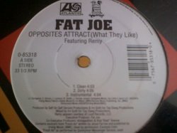 画像1: HipHop Fat Joe / Opposites Attract 12インチ新品です。