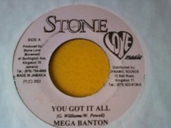 画像1: レゲエ Mega Banton / You Got It All 7インチです。