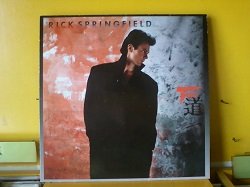画像1: ロック Rick Springfield / Tao LPです。