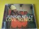 レゲエ CD Junior Kelly / Love So Nice です。