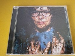 画像1: CD Bjork / Selmasongs です。