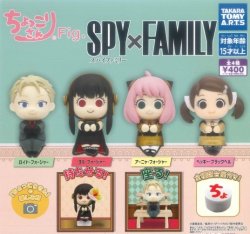 画像1: ガチャガチャ ちょっこりさんFig. SPY×FAMILY 全4種セット です。