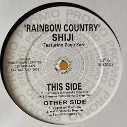 画像1: R&B Shiji / Rainbow Country 12インチです。