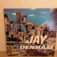 テクノ Jay Denham / Synthesized Society 2枚組LPです。