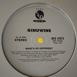 画像1: R&B Ginuwine / What’s So Different 12インチです。