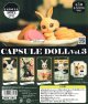 ガチャガチャ CAPSULE DOLL Vol.3 bunny 全5種セット 新品です。