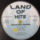 The Brand New Heavies / Land of Hits 12インチです。