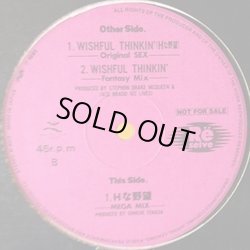 画像1: ハウス Re Selve / Wishful Thinkin’ (Hな野望) 12インチです。