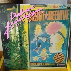 画像1: アニメ 愛してナイト デビュー・ビーハイブ LPです。