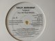 R&B Sally Anthony / Vent 12インチです。