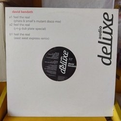 画像1: ハウス David Bendeth / Feel The Real 12インチです。