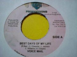 画像1: レゲエ Voicemail / Best Days Of My Life 7インチ新品です。Guardian Angel