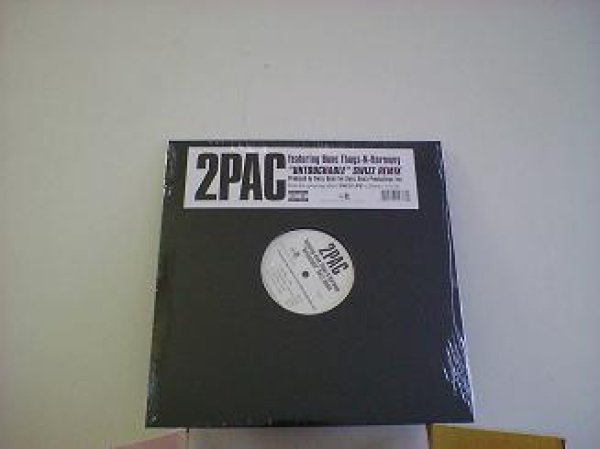 画像1: HipHop 2 Pac / Untouchable 12インチ新品です。 (1)