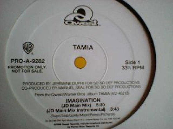 画像1: R&B Tamia / Imagination 12インチ新品です。 (1)