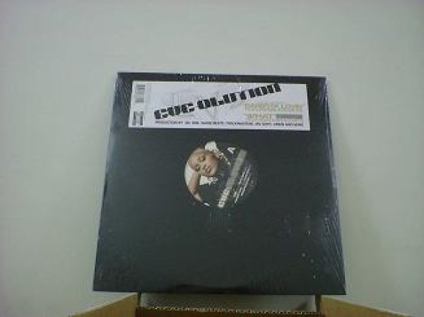 画像1: HipHop Eve / Eve-Olution 2枚組LP新品です。 (1)