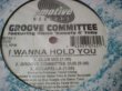 画像2: ハウス Groove Committee / I Wanna Hold You 12インチです。 (2)