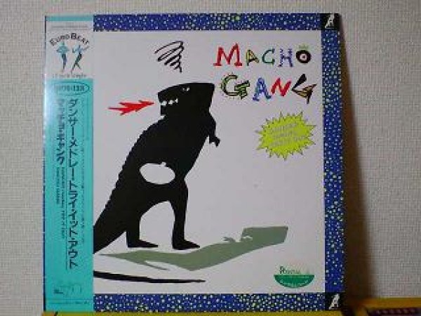 画像1: ユーロビート Macho Gang / Dancer medly Try It Out 12インチです。 (1)