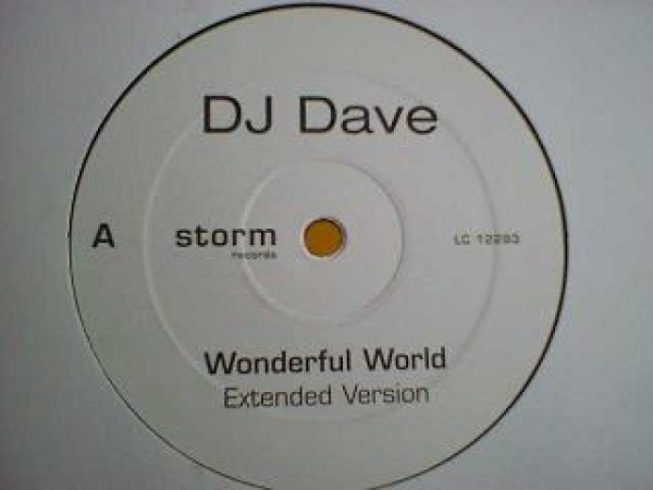 画像1: トランス DJ Dave / Wonderful World 12インチ新品です。 (1)