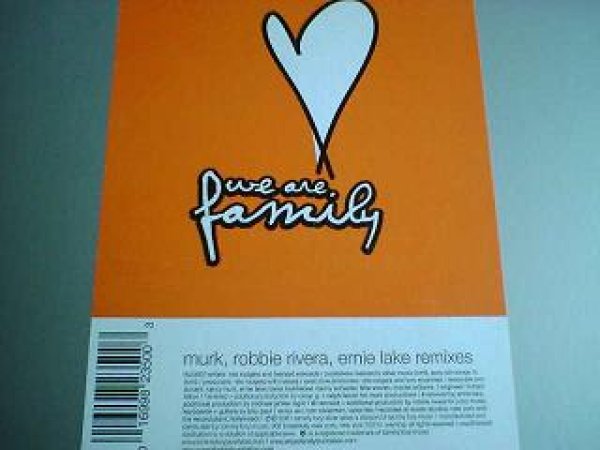 画像1: ハウス We Are Family Collective / We Are Family (The Soul Remixes) 12インチです。 (1)