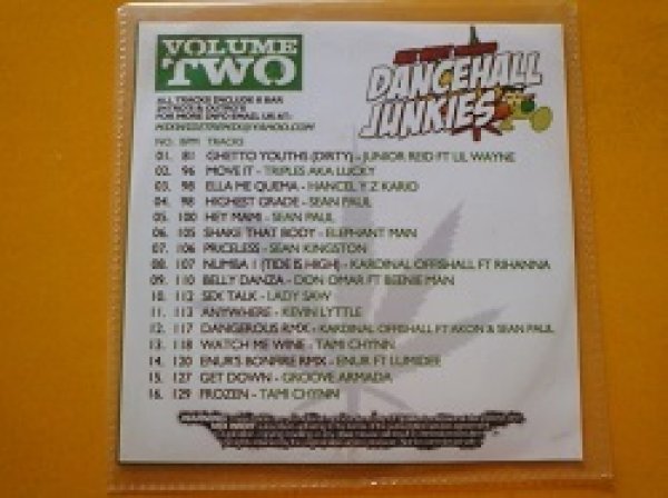 画像1: レゲエ CD VA / Mix Widit Dancehall Junkies Vol 2 です。  (1)