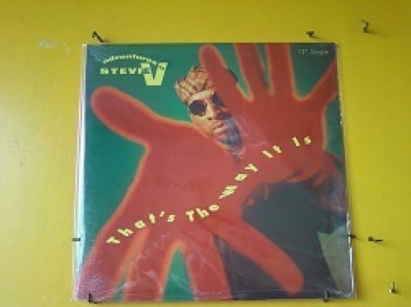 画像1: ハウス Adventures Of Stevie V / That's The Way It Is 12インチ新品です。 (1)