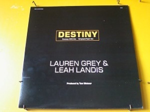 画像1: ディスコ Lauren Grey & Leah Landis / Destiny 12インチです。 (1)