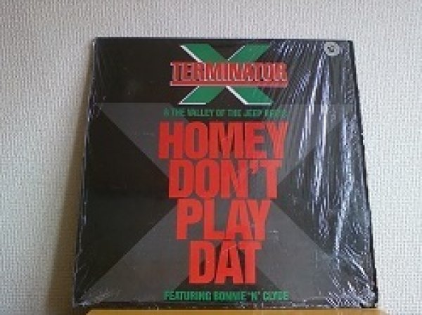 画像1: HipHop Terminator X / Homey Don't Play Dat 12インチです。 (1)