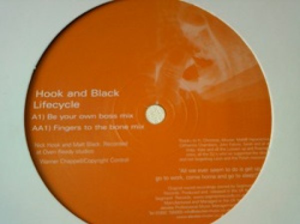 画像1: テクノ Hook And Black / Lifecycle 12インチです。 (1)