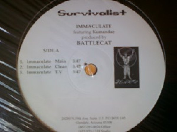 画像1: HipHop Survivalist / Immaculate 12インチです。 (1)