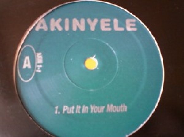 画像1: HipHop Akinyele / Put It In Your Mouth 12インチです。 (1)