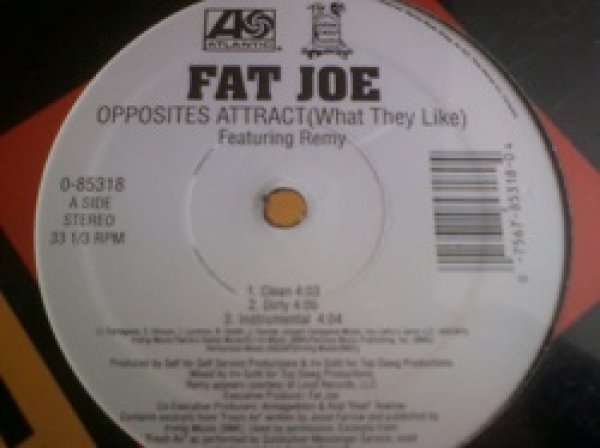 画像1: HipHop Fat Joe / Opposites Attract 12インチ新品です。 (1)