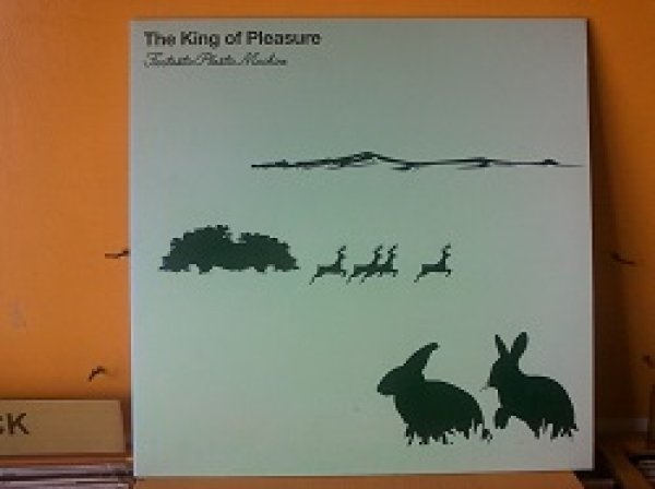 画像1: ハウス Fantastic Plastic Machine / The King Of Pleasure 12インチです。 (1)