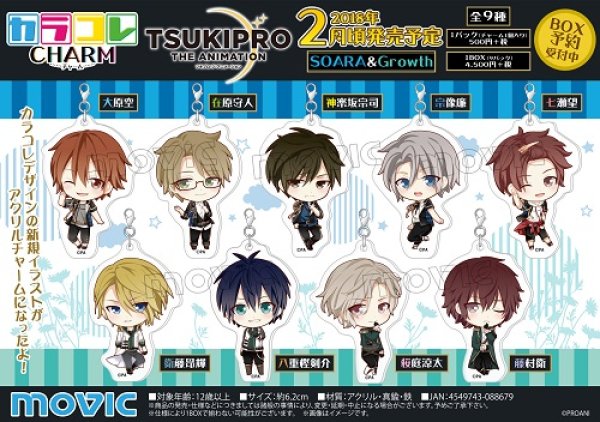 画像1: TSUKIPRO THE ANIMATION カラコレチャーム A SOARA&Growth 9個入りBox 新品です。 (1)