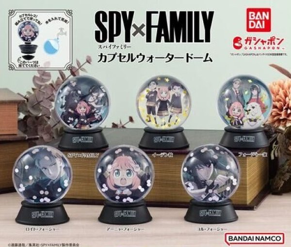 画像1: ガチャガチャ SPY×FAMILY カプセルウォータードーム 全6種セット 新品です。 (1)