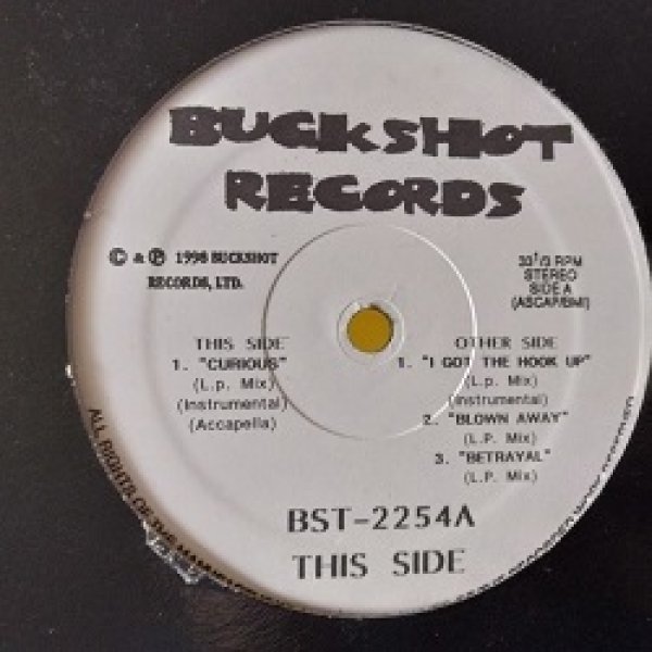 画像1: HipHop VA / Buckshot Records BST-2254 12インチです。 (1)