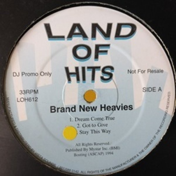 画像1: The Brand New Heavies / Land of Hits 12インチです。 (1)
